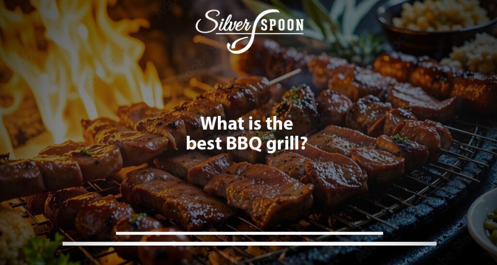 What Is The Best BBQ Grill?